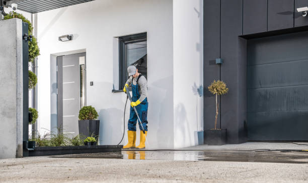 Best Window and Screen Pressure Cleaning in Williams, AZ
